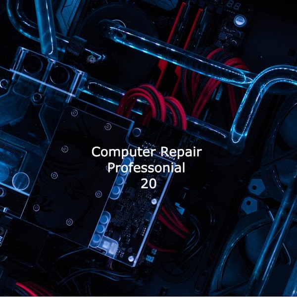 Computer Repair Professional