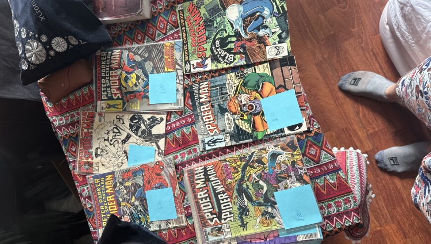 Ernesto and Ben’s Comic Book Marketplace